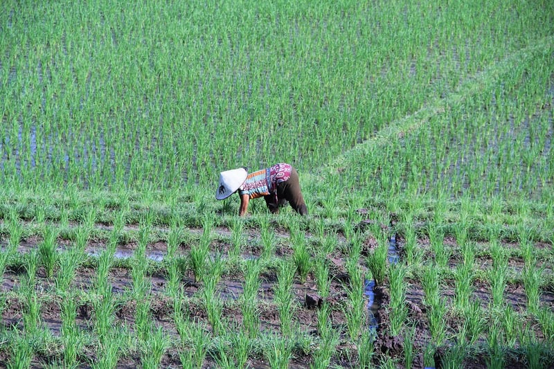 Bali, Indonesia