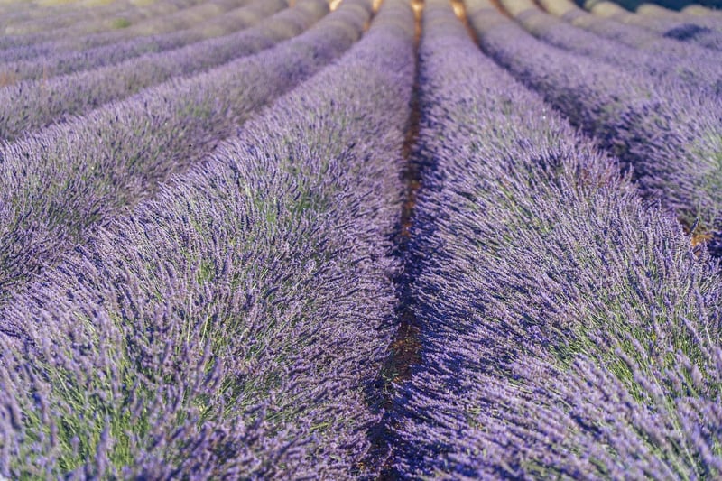 Provence, France